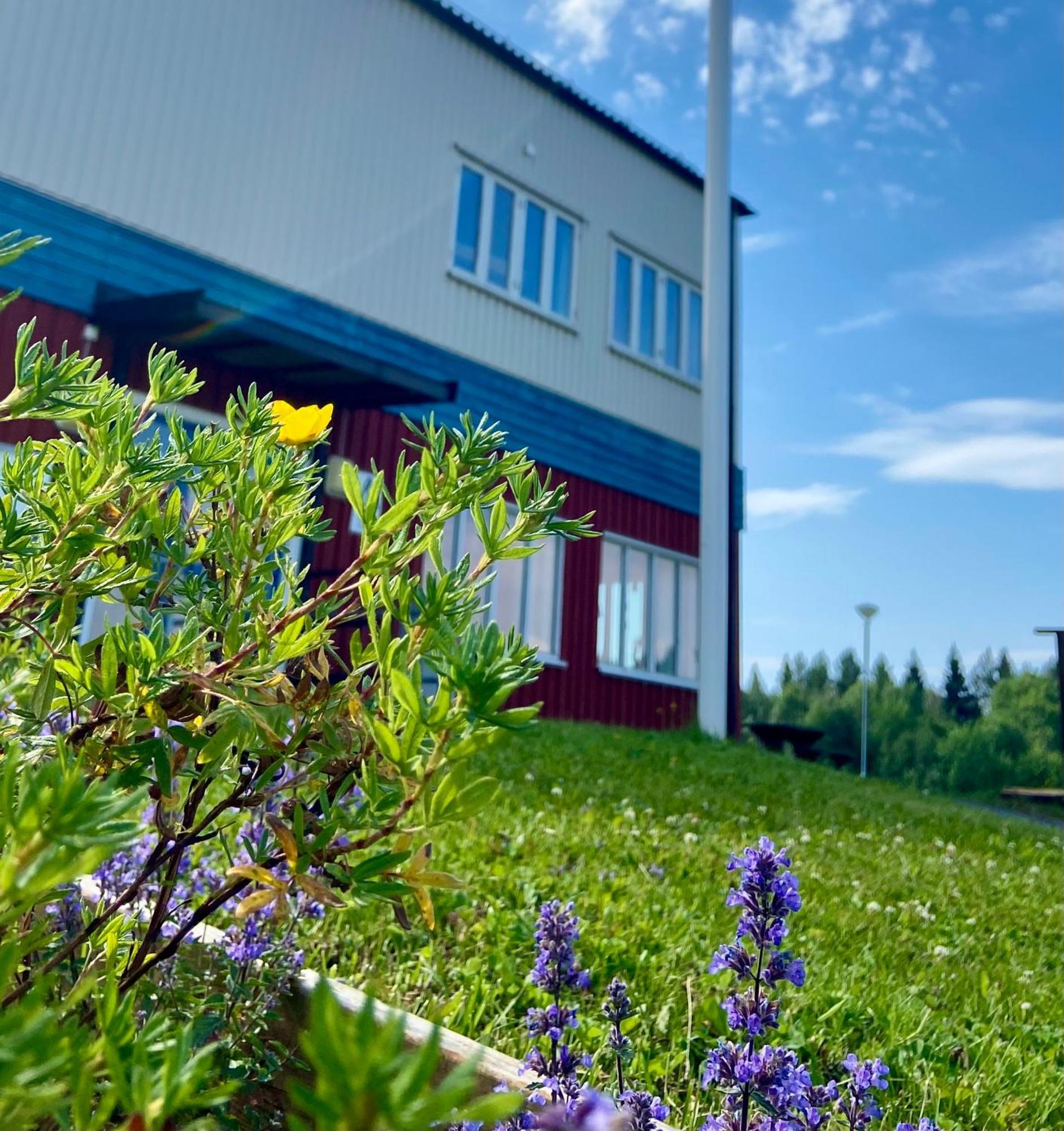 Naeskottshallen Nalden Buitenkant foto
